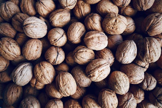brain inflammation and omega-3 benefits