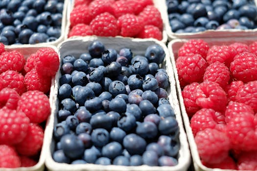 nutritious snacks for brain health
